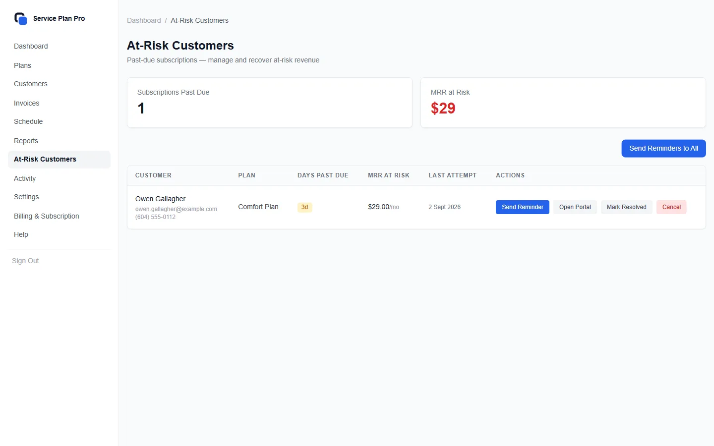 At-Risk Customers lists past-due members and the revenue at risk.